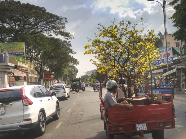 Os homens que estão dirigindo carruagem uma panela de árvore de flor de damasco na rua durante o Ano Novo Lunar 2017 — Fotografia de Stock