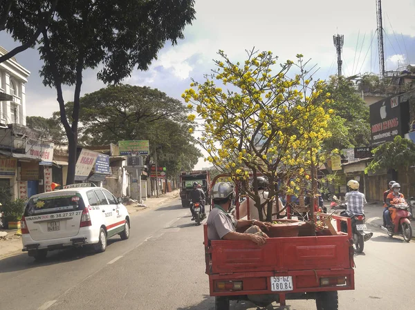 Män som driver transport en krukor aprikos blomma träd i gatan under den Lunar New Year 2017 — Stockfoto