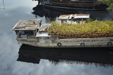 çiçek pazarı, çiçek gemilerde Binh Dong Hcmc wharf