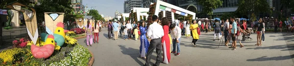 Panoramic image in the Lunar New Year, Viet Nam — Stock Photo, Image