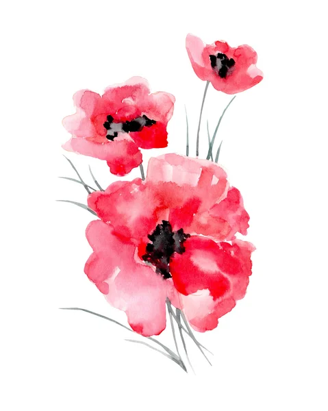 Aquarel illustratie van een poppy op een witte achtergrond. — Stockfoto