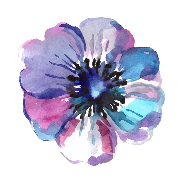 Watercolor illustration of a blue flower on a white background. — Stock Photo, Image