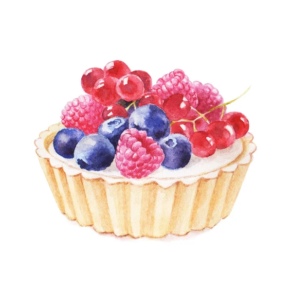 Törtchen mit von Hand gezeichneten Früchten Aquarell-Illustration auf weißem Hintergrund. — Stockfoto