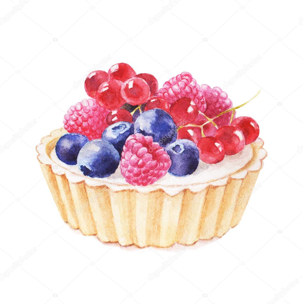 Tartlet with fruit hand drawn watercolor illustration on white background.