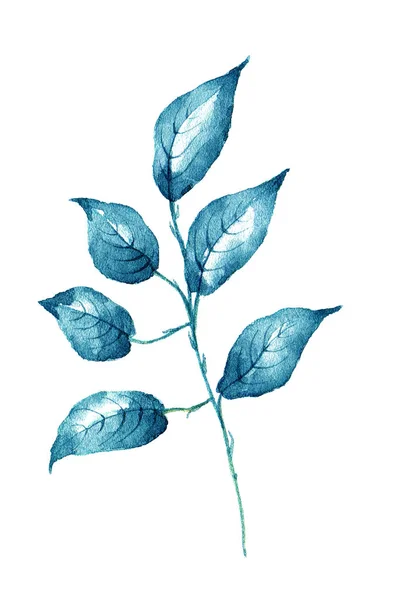 흰색 배경 디자인 요소에 수채화 잎. — 스톡 사진