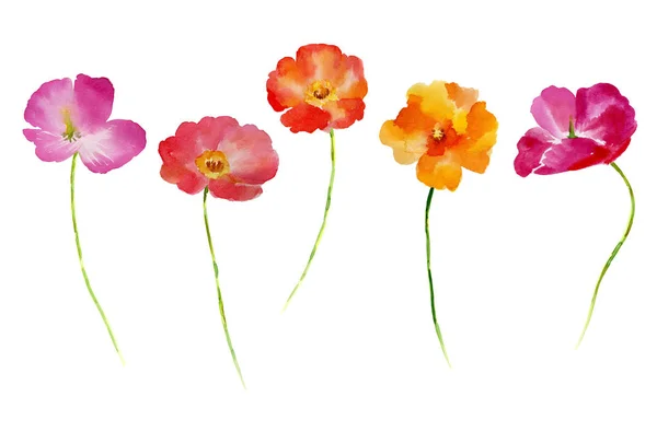 Akvarelu květina pro váš design. — Stock fotografie