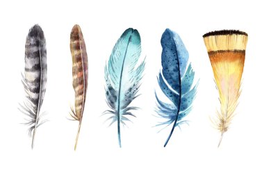 Beyaz arka plan üzerinde izole suluboya tüy seti.