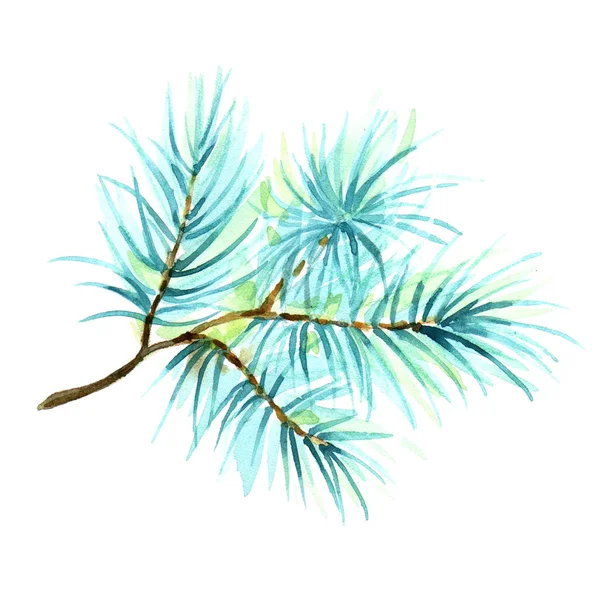 Aquarell-Illustration eines Zweiges von Fichte, Kiefer, Tanne, isoliert auf weißem Hintergrund. — Stockfoto