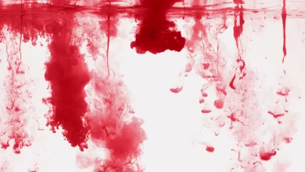 Fundo aquarela vermelho. sangue — Vídeo de Stock