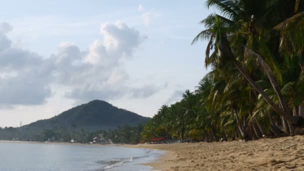 Stranden med gul sand och kokospalmer, Thailand — Stockvideo