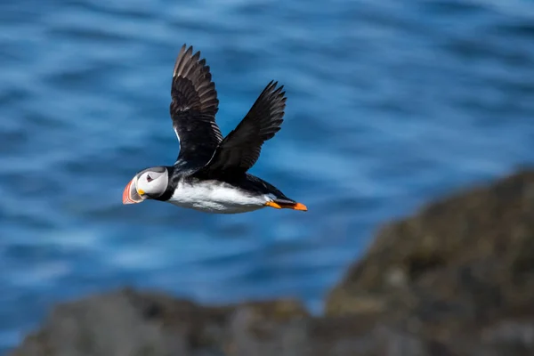 Scènes de voyage autour de l'Islande — Photo