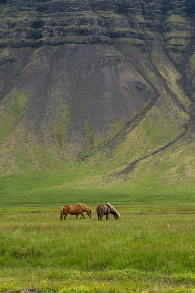 Aventuras en Islandia —  Fotos de Stock