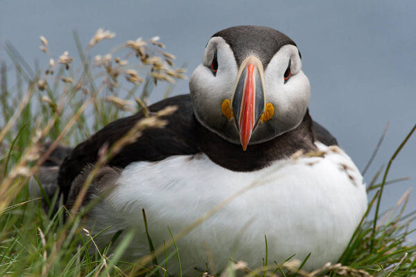 Adventures in Iceland