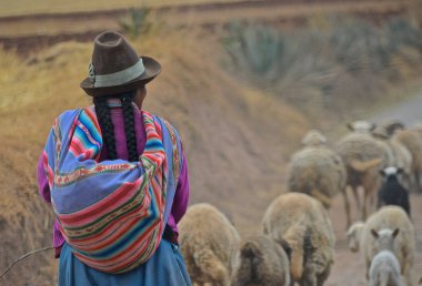 Peru seyahat gelen sahneleri
