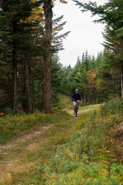 Горный велосипед в лесу и на открытых лыжных трассах в Киллингтон-Вермонт, Новая Англия, США — стоковое фото