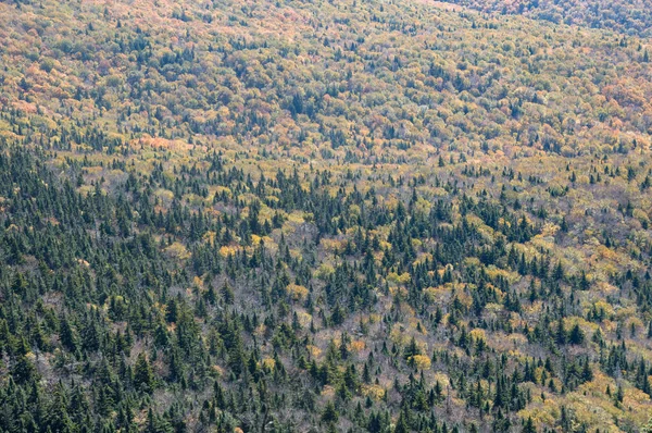 Szenen einer Reise durch Vermont, Neuengland — Stockfoto