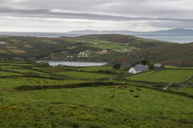 İrlanda - çiftlikleri ve şehir etrafında hareket sahneleri