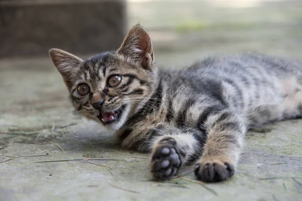 Çin seyahat sahneleri