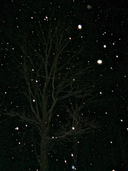 Night Sky Full of Stars — Stock Photo, Image