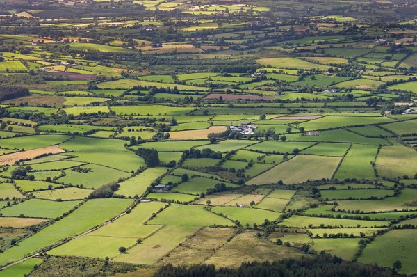 Scény z cestování po Irsku - farmy a města — Stock fotografie