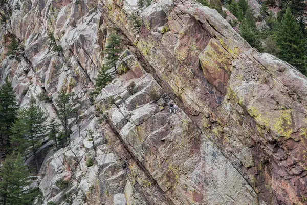 Vandring Och Klättring Foten Klippiga Bergen Colorado Usa — Stockfoto