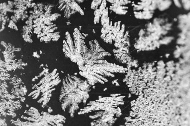Makro Kar Taneleri ve Buz Kristalleri