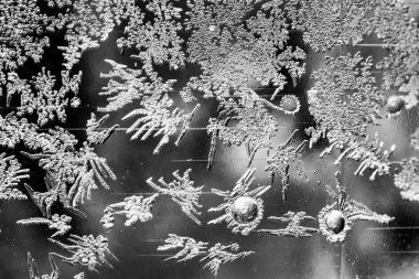 Makro Kar Taneleri ve Buz Kristalleri