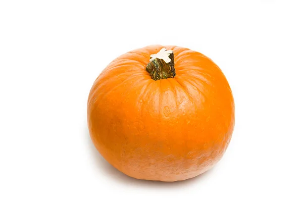 Calabaza naranja fresca sobre fondo blanco —  Fotos de Stock