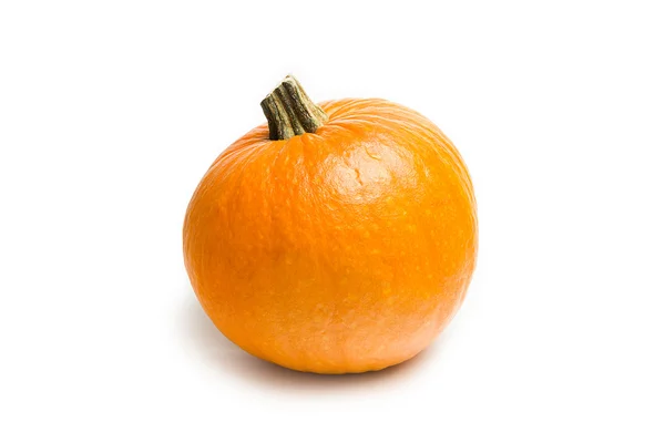 Abóbora laranja fresca no fundo branco — Fotografia de Stock