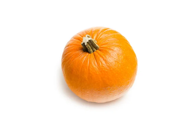 Abóbora laranja fresca no fundo branco — Fotografia de Stock