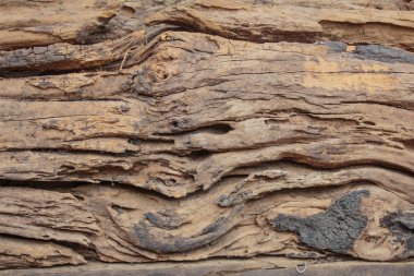 eski ahşap arka plan