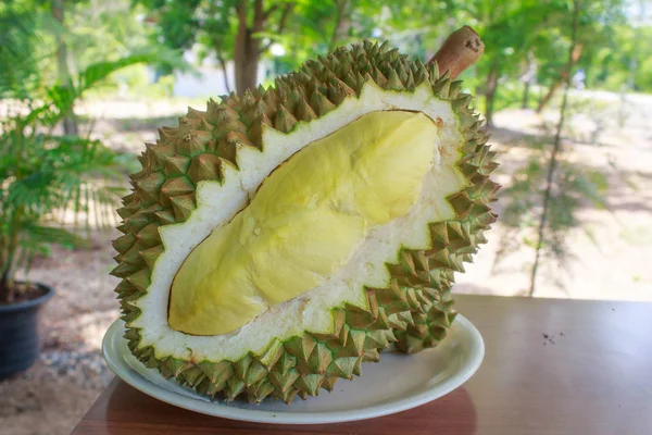 Durian mon thong king of fruits in garden — Stock Photo, Image