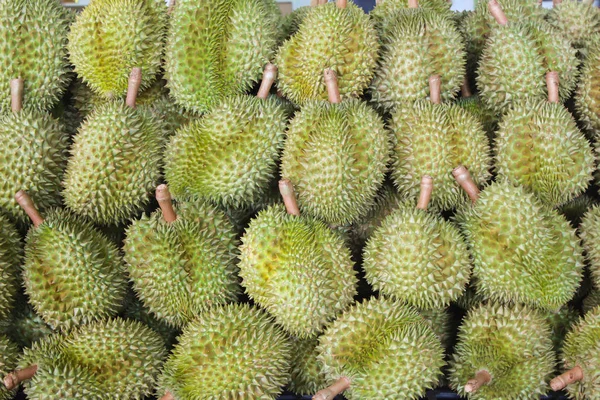 Durian mon string roi des fruits — Photo
