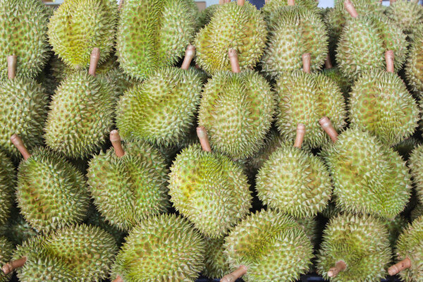 durian mon stong king of fruits

