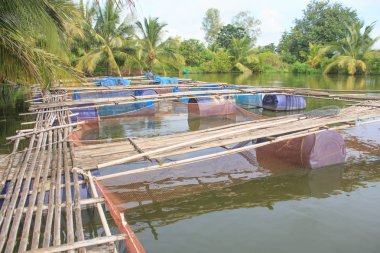 Balık Köprüsü cagein Kuzey Tayland