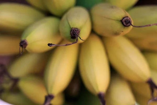 Närbild av gula bananer, banan ägg — Stockfoto