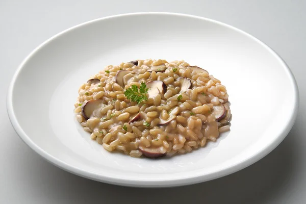 Porcini mantarlı risotto yemek — Stok fotoğraf