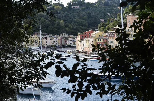 Portofino tourist boats moored in the harbor — Stock Photo, Image