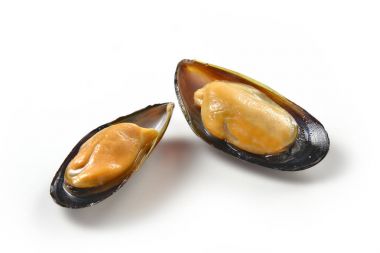 Beyaz arka plan üzerinde izole iki midye