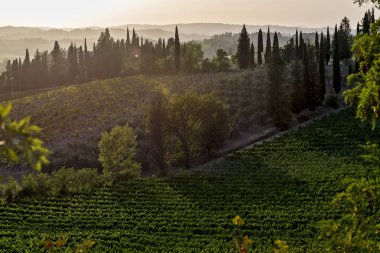 Günbatımı Toskana bölgesindeki Siena tepelerin üstünde