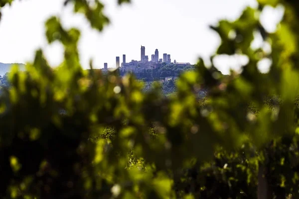 San gimignano, Toscana — Stockfoto