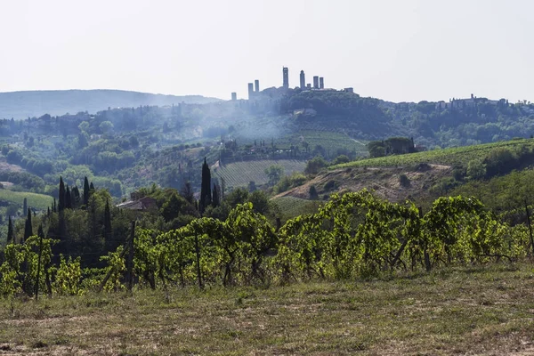 A Siena hegyek Toszkána szőlőültetvények — Stock Fotó