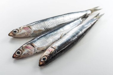 Beyaz arka plan üzerinde izole üç hamsi