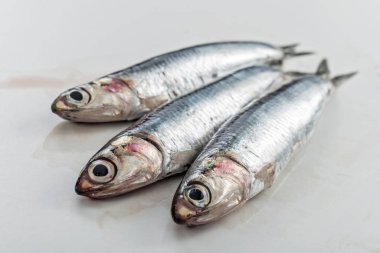 Beyaz arka plan üzerinde izole üç hamsi