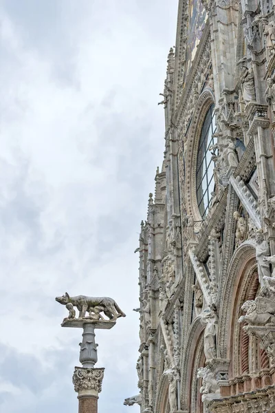 Detalj av fasaden av katedralen i Siena med Sienese varg — Stockfoto