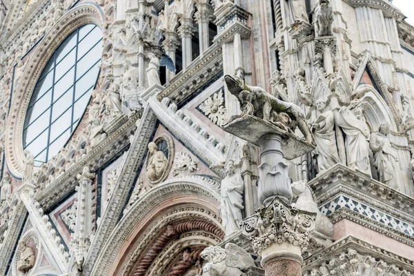 Деталь фасада Сиенского собора с сиенским волком — стоковое фото