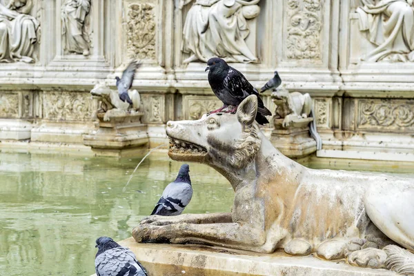 Szczegóły Sieny Fonte Gaia in piazza del campo — Zdjęcie stockowe