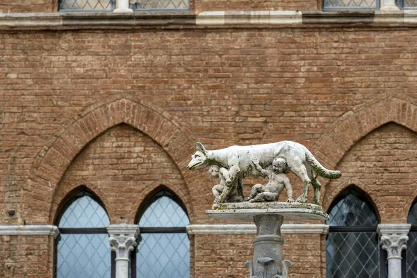 Sieneński wilk przed Katedrą Sieny — Zdjęcie stockowe