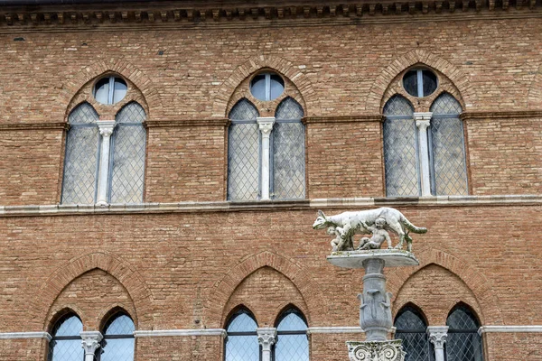 Sienese λύκος μπροστά από τον καθεδρικό ναό της Σιένα — Φωτογραφία Αρχείου