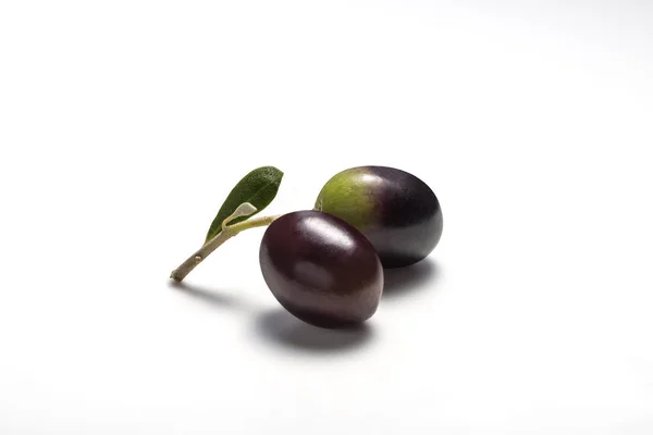 Sprig with Two olives on a white background — Stock Photo, Image